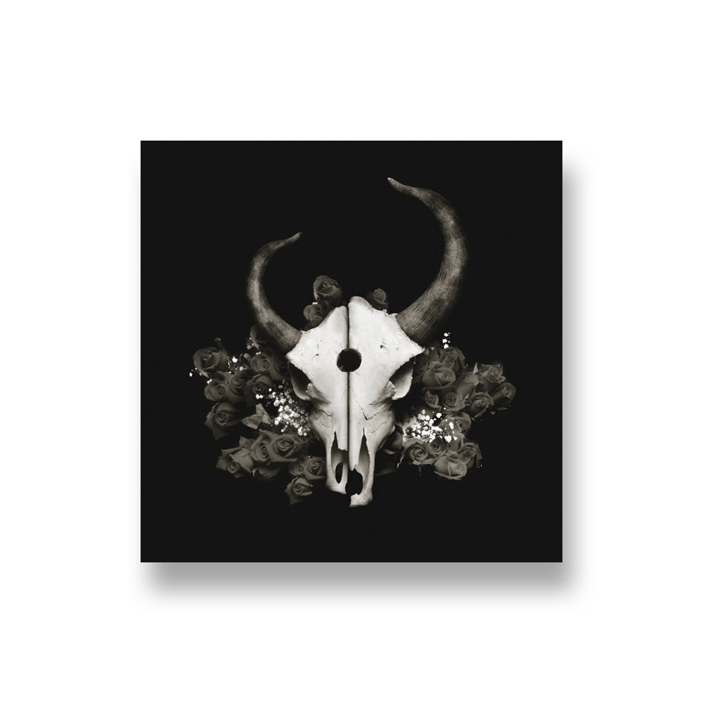Demon Hunter: Summer of Darkness CD