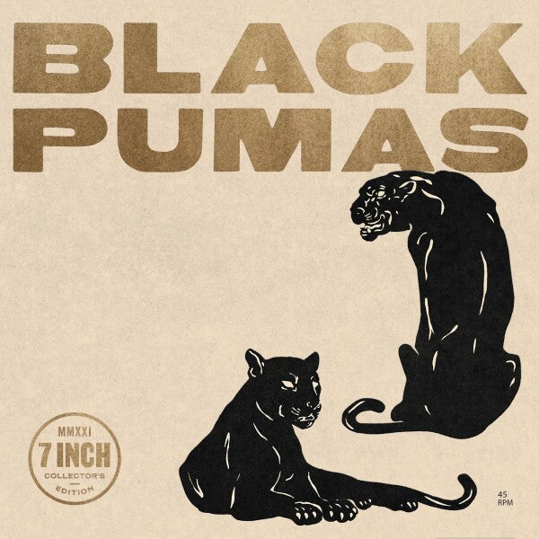 Black Pumas: Black Pumas 7