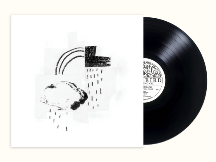 Damien Jurado: In The Shape Of A Storm Vinyl LP