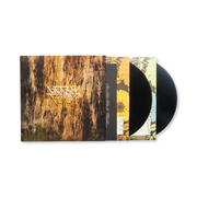 Blitzen Trapper: Furr Vinyl LP (Deluxe Anniversary 2xLP)