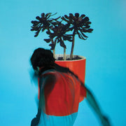 Local Natives: Sunlit Youth Vinyl LP 