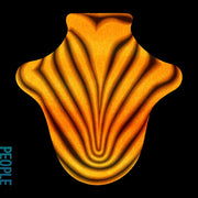 Big Red Machine: Big Red Machine Vinyl LP
