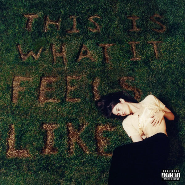 Gracie Abrams: This Is What It Feels Like Vinyl LP