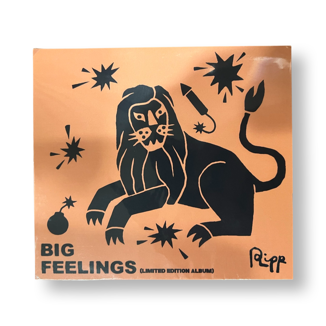 Andrew Ripp Cd Andrew Ripp: Big Feelings CD