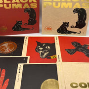 Black Pumas: Black Pumas 7" Vinyl Box Set