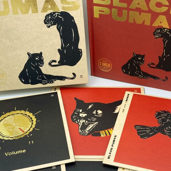 Black Pumas: Black Pumas 7" Vinyl Box Set