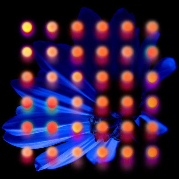 Anberlin: Nevertake Vinyl LP