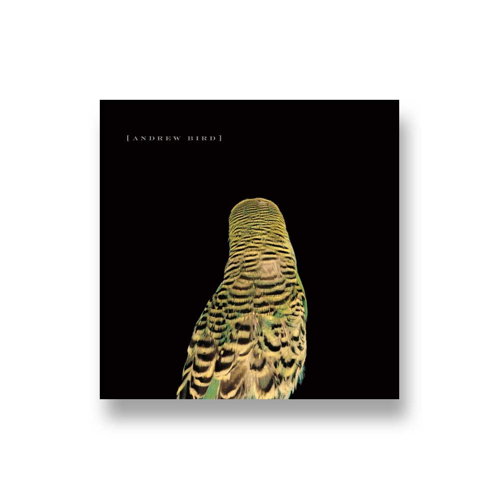 Andrew Bird: Armchair Apocrypha CD