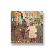 Andrew Bird: Break It Yourself 