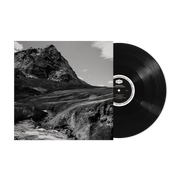 Andrew Bird: Outside Problems Vinyl LP