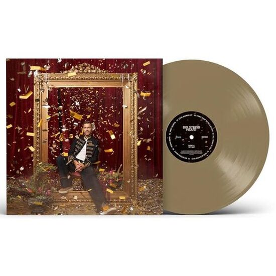 Andy Grammer: Big Stupid Heart Vinyl LP (Gold)