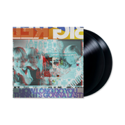 Big Red Machine: How Long Do You Think It's Gonna Last? Vinyl LP