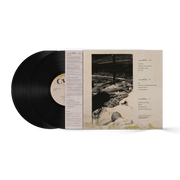 Caamp: Boys Vinyl LP