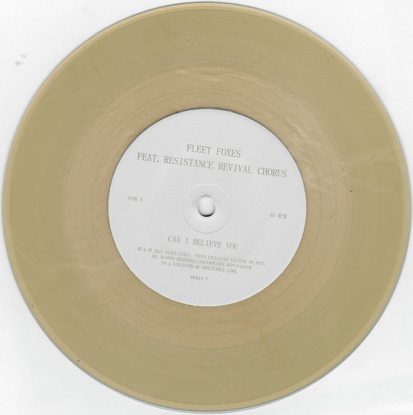 Can I Believe You / Wading In Waist Hight 7" Vinyl (RSD)
