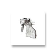 Coldplay: A Rush of Blood To the Head CD