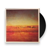Damien Jurado: Where Shall You Take Me Deluxe Edition Vinyl LP