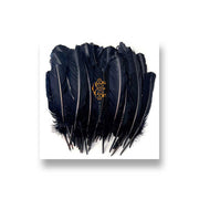 David Eugene Edwards: Hyacinth CD