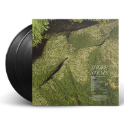 Fleet Foxes: Shore Vinyl LP (2x 180 gram LP)
