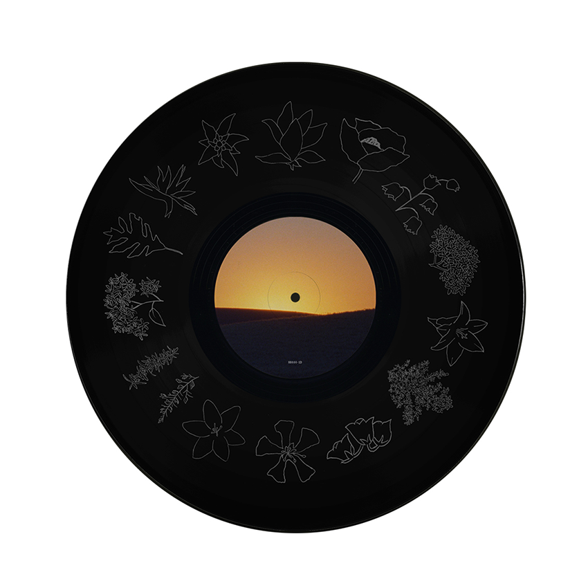 Fleet Foxes: Shore Vinyl LP (2x 180 gram LP)