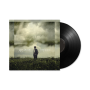 Gregory Alan Isakov: Evening Machines Vinyl LP