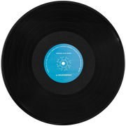 Gregory Alan Isakov: The Weatherman Vinyl LP