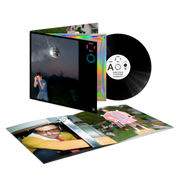 Harry Styles: Kiss All The Time. Disco, Occasionally. Vinyl LP Harry Styles: Kiss All The Time. Disco, Occasionally. Vinyl LP