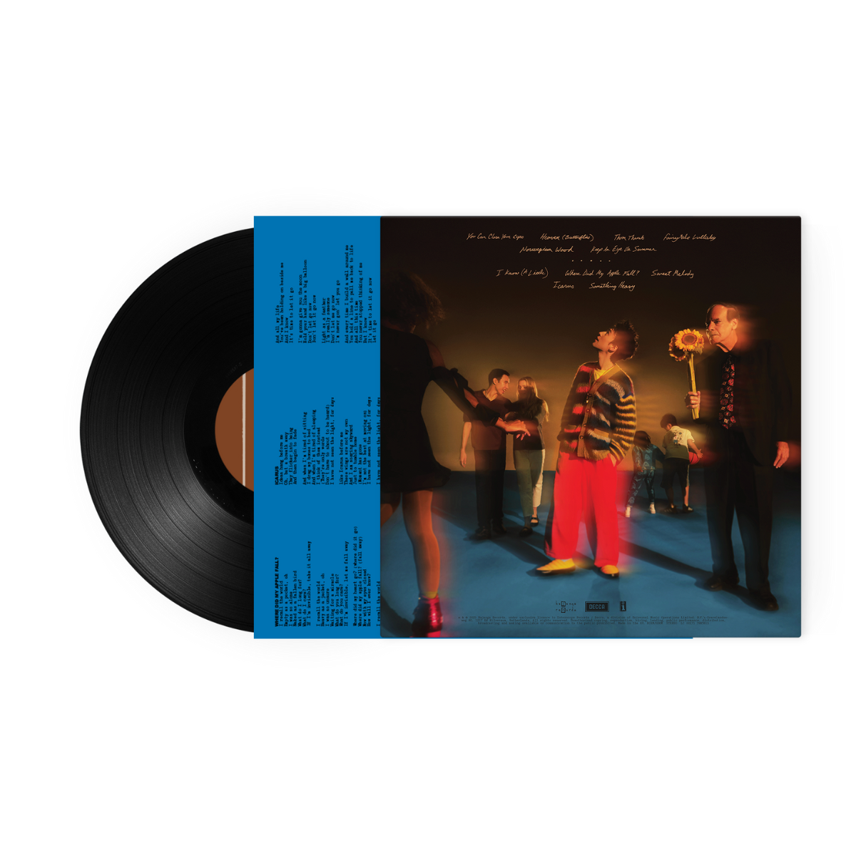 Jacob Collier: The Light for Days Vinyl LP