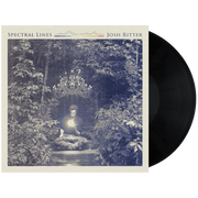 Josh Ritter: Spectral Lines Vinyl LP