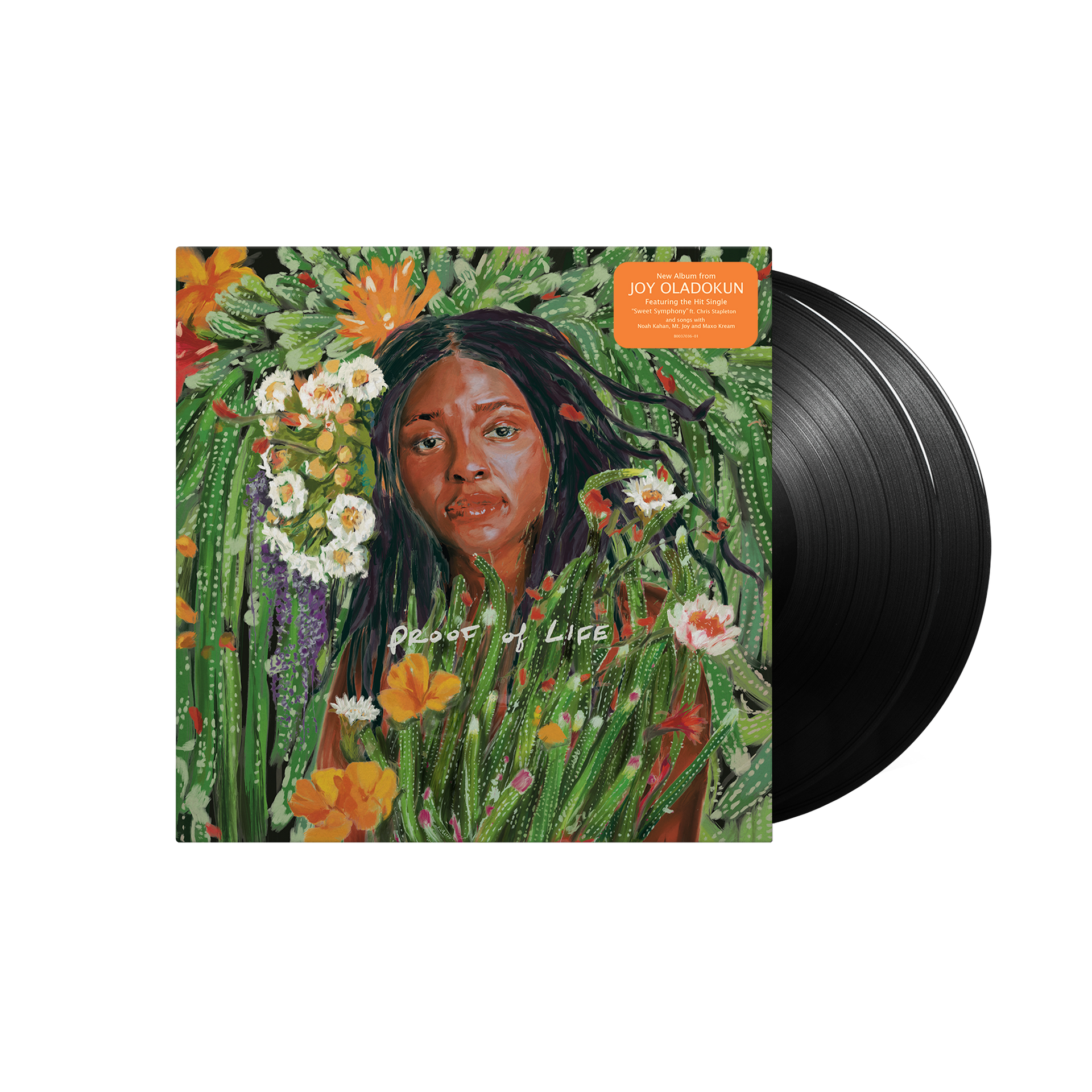 Joy Oladokun: Proof of Life Vinyl LP