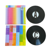 Judah and the Lion: The Process Vinyl LP