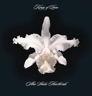 Kings of Leon: A-Ha Shake Heartbreak CD