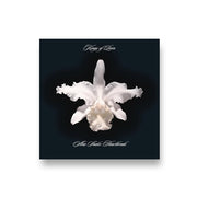 Kings of Leon: A-Ha Shake Heartbreak CD