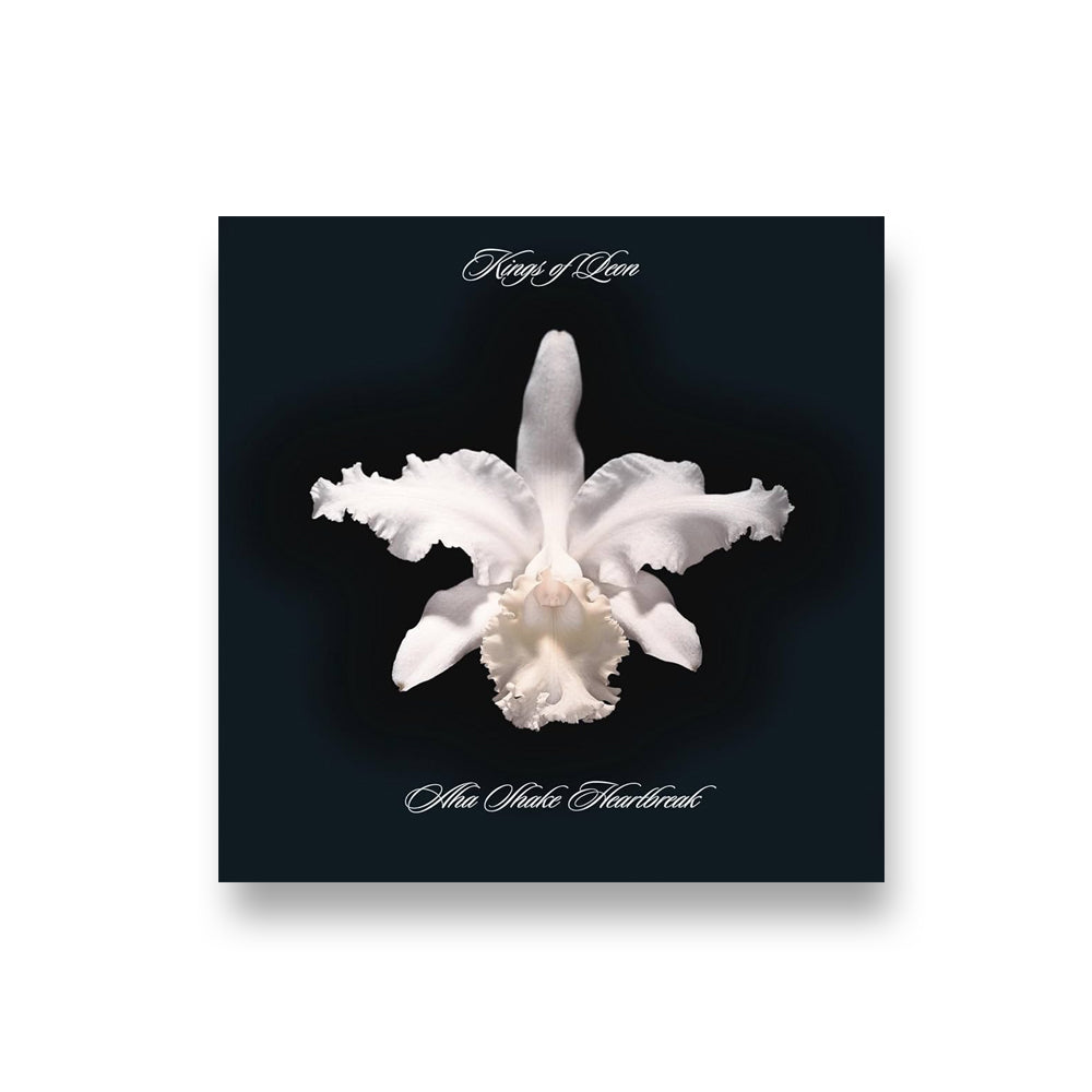 Kings of Leon: A-Ha Shake Heartbreak CD