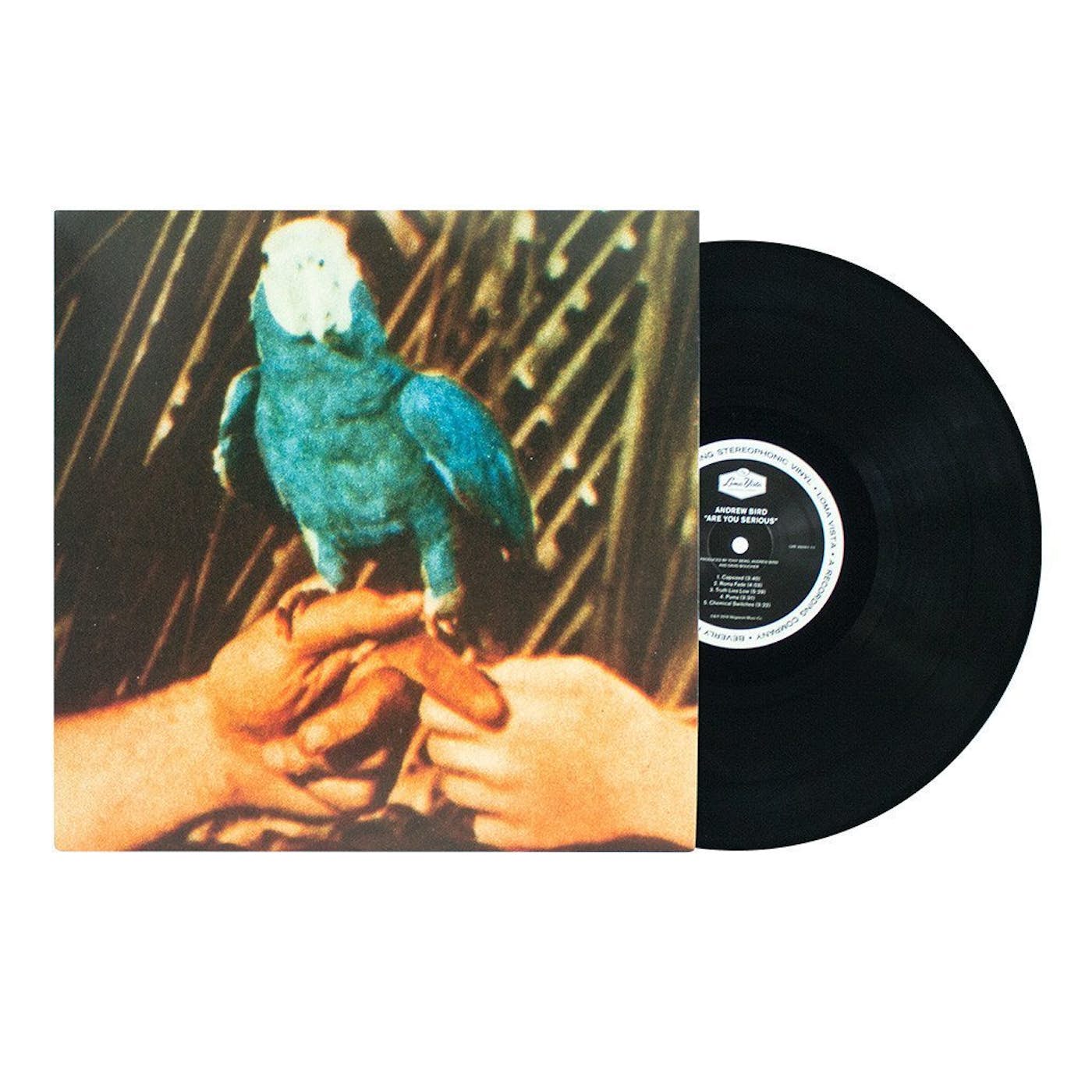 Andrew Bird: Are You Serious Vinyl LP