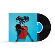 Local Natives: Sunlit Youth Vinyl LP