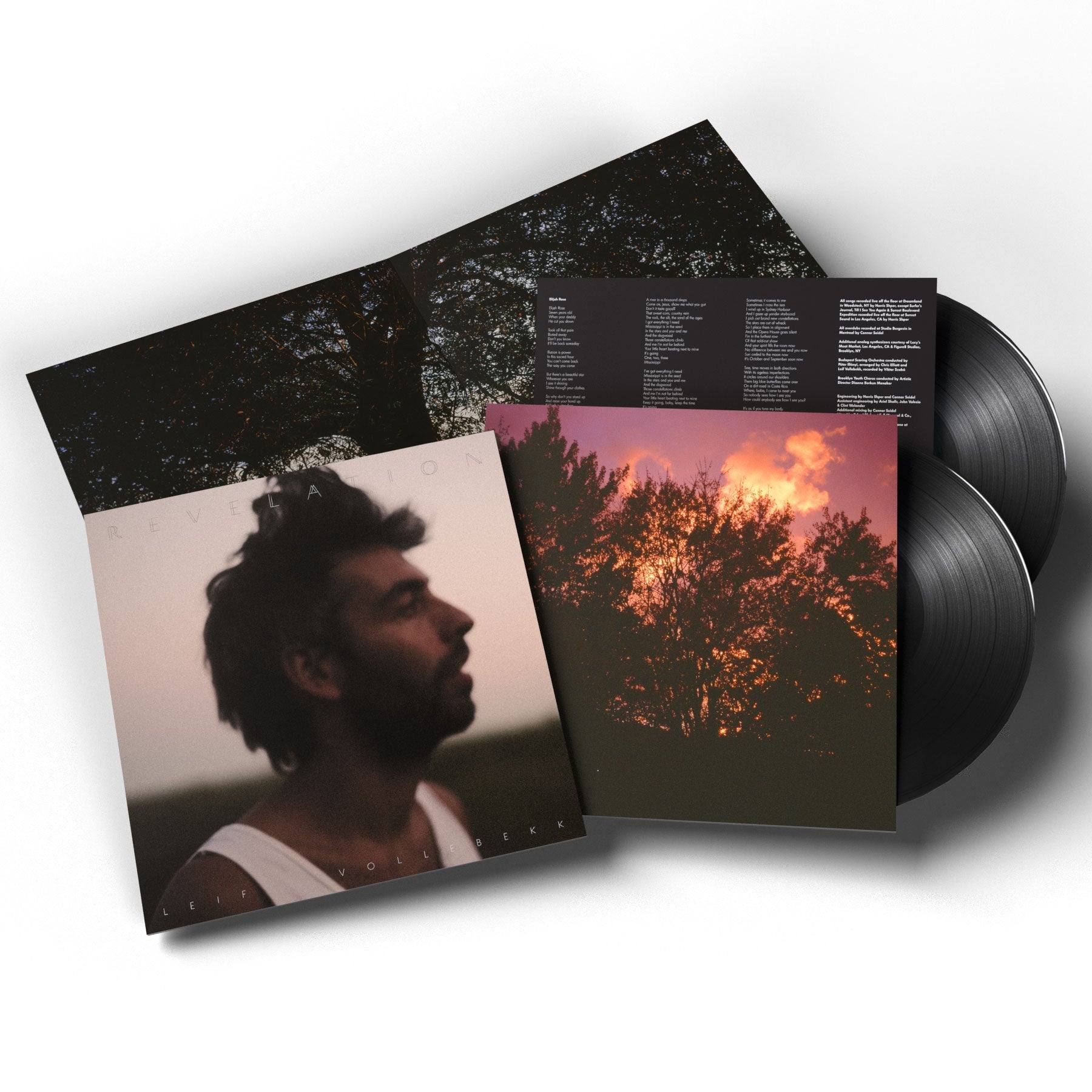 Leif Vollebekk: Revelation Vinyl LP