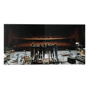 Lizzy McAlpine: Older (and Wiser) Vinyl LP