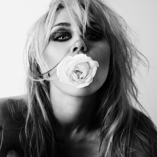 MILEY: Bass Persuades CD