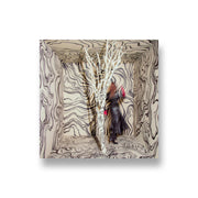 Madison Cunningham: Revealer CD