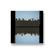 Maggie Rogers: Now That The Light Is Fading CD