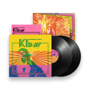 Matthew E. White: K Bay Vinyl LP