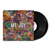 Mt. Joy: Mt Joy Vinyl LP (Anniversary Edition)