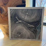 Needtobreathe: Rivers In The Wasteland Vinyl LP