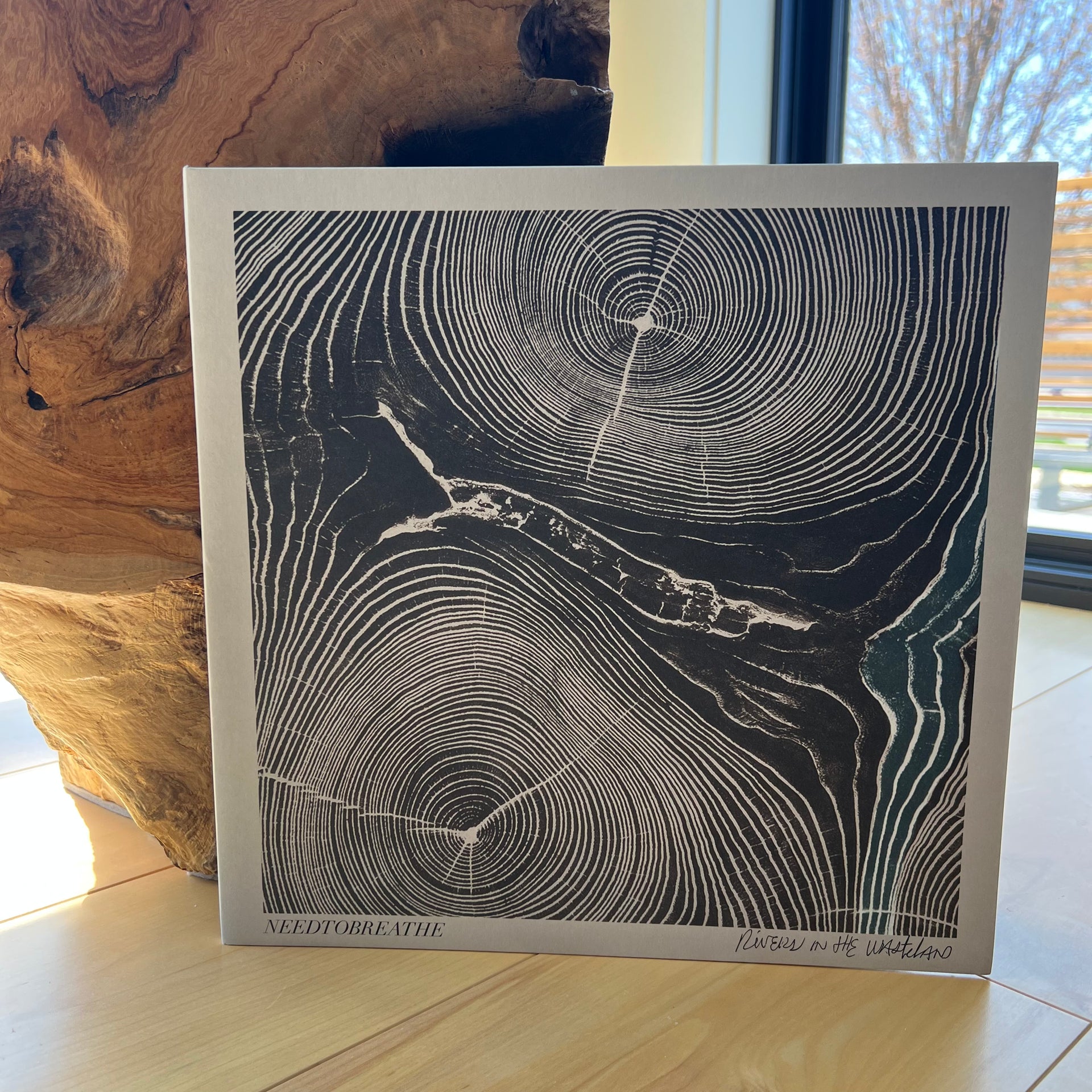 Needtobreathe: Rivers In The Wasteland Vinyl LP