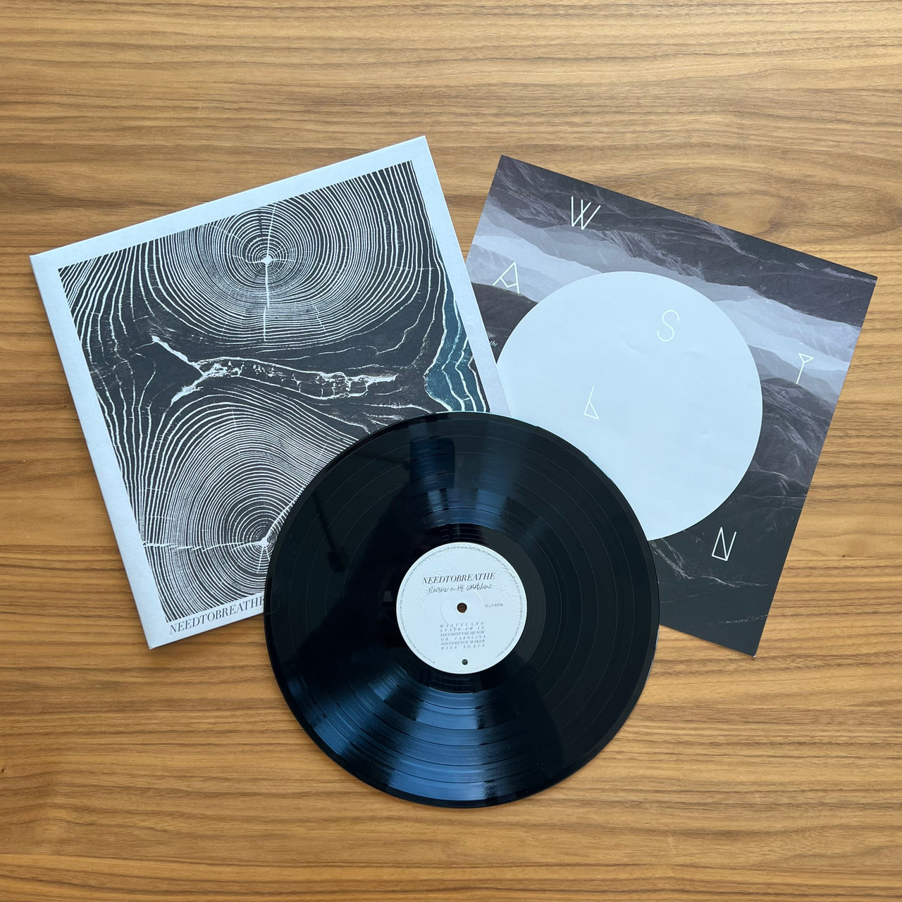 Needtobreathe: Rivers In The Wasteland Vinyl LP