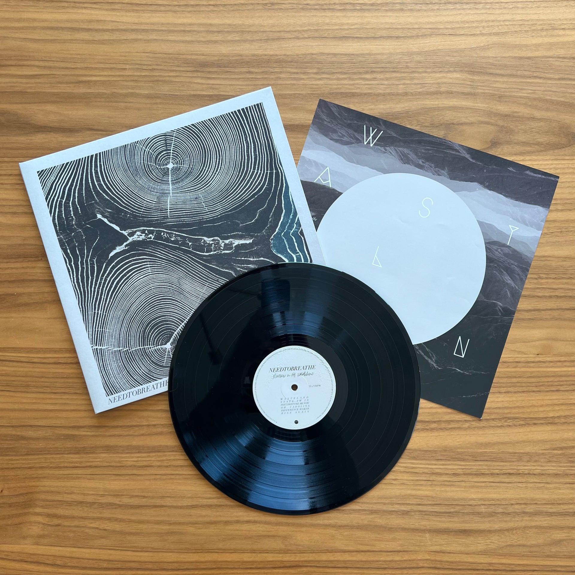 Needtobreathe: Rivers In The Wasteland Vinyl LP