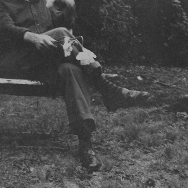 Needtobreathe: The Long Surrender CD