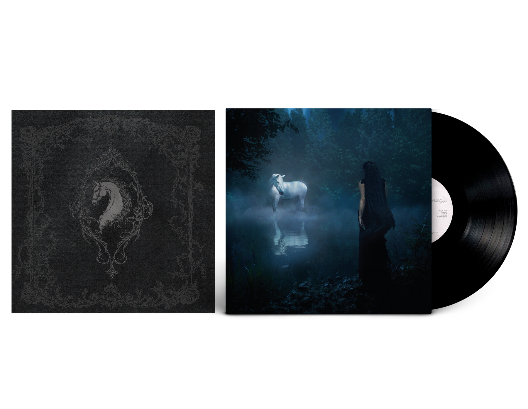 Noah Cyrus: I Want My Loved Ones To Go With Me Vinyl LP