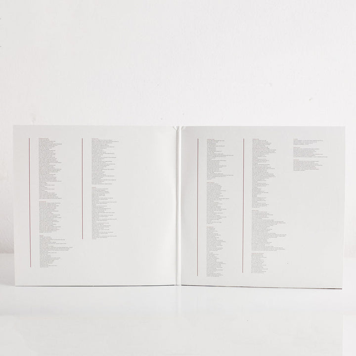 Noah Gundersen: Ledges Vinyl LP