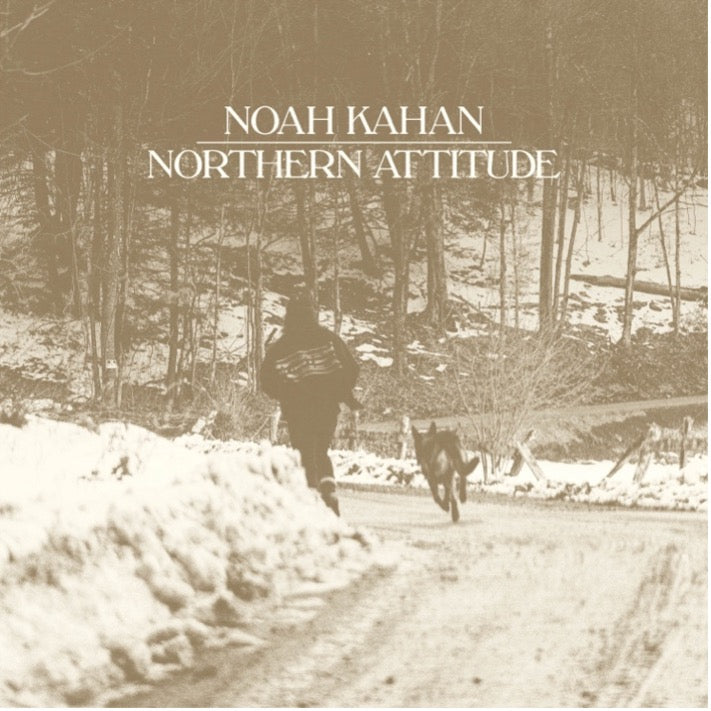 Noah Kahan: Northern Attitude 7" Vinyl (Black Ice + Poster)